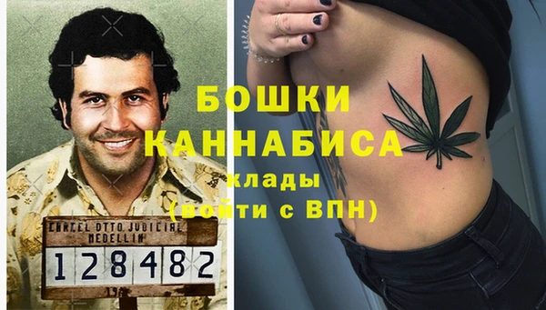 стаф Беломорск
