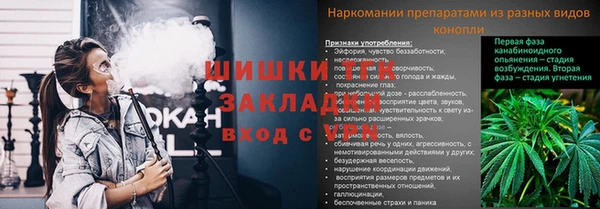 стаф Беломорск