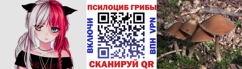 Галлюциногенные грибы Cubensis Гаврилов-Ям